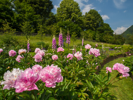 Kulturbesuch zum Garten Europas