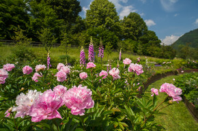 Kulturbesuch zum Garten Europas
