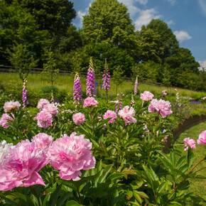 Kulturbesuch zum Garten Europas