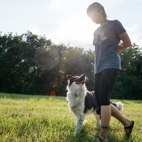  Hundewandern in der Natur 