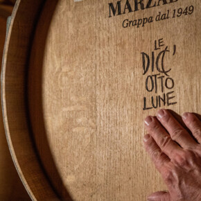  "Five senses" tasting 