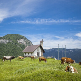  In Malga - Casaro per un giorno 