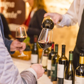  Der ausgezeichnete Weinberg 