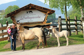 "Dalla Piccola" Reiterhof und landwirtschaftlicher Betrieb  