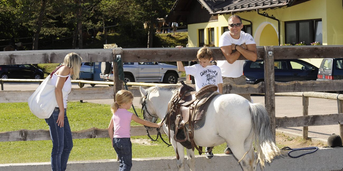 Maneggio Andalo Life #1