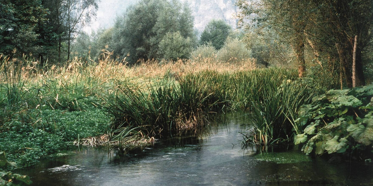 Biotopo di Fontanazzo #2