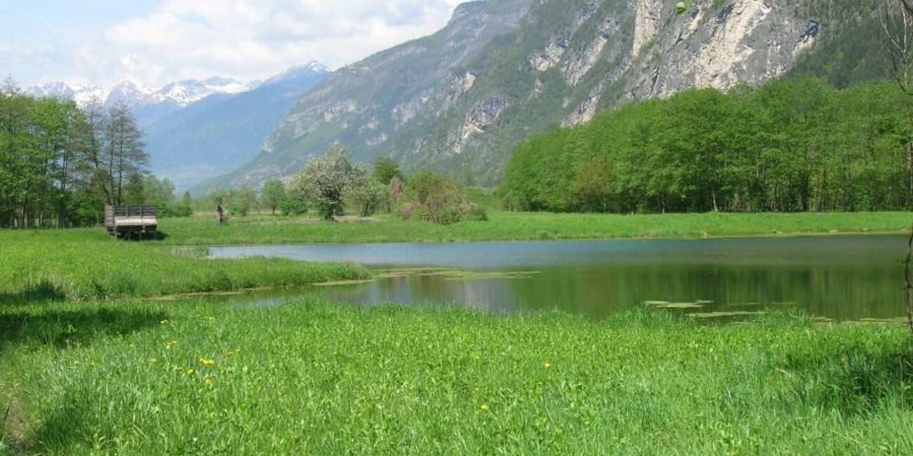 Biotopo di Fontanazzo #1