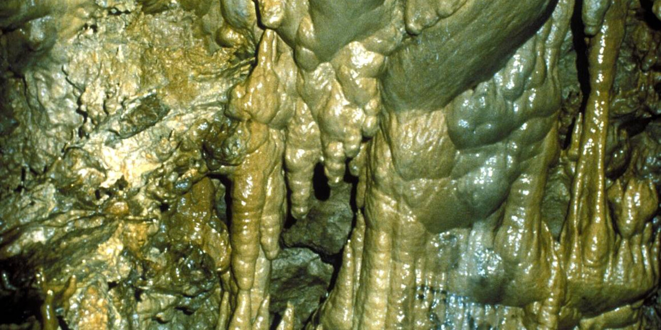 Grotte Castello Tesino #2