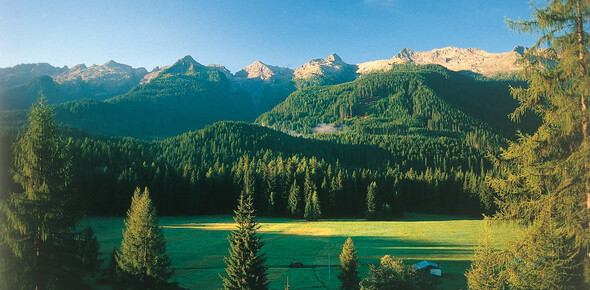 paneveggio-la-foresta-e-la-carena-di-lagorai