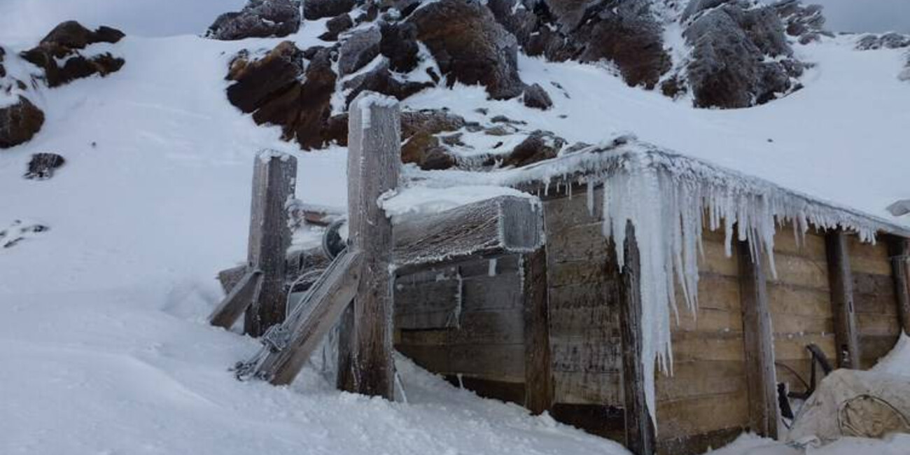 Punta Linke (3629 m ü.d.M.)  Ortler / Ortles-Cevedale – Pejo  #4