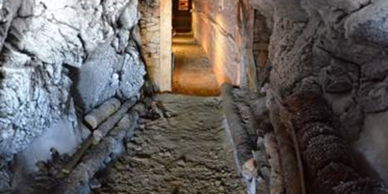 Punta Linke (3629 m ü.d.M.)  Ortler / Ortles-Cevedale – Pejo  #6