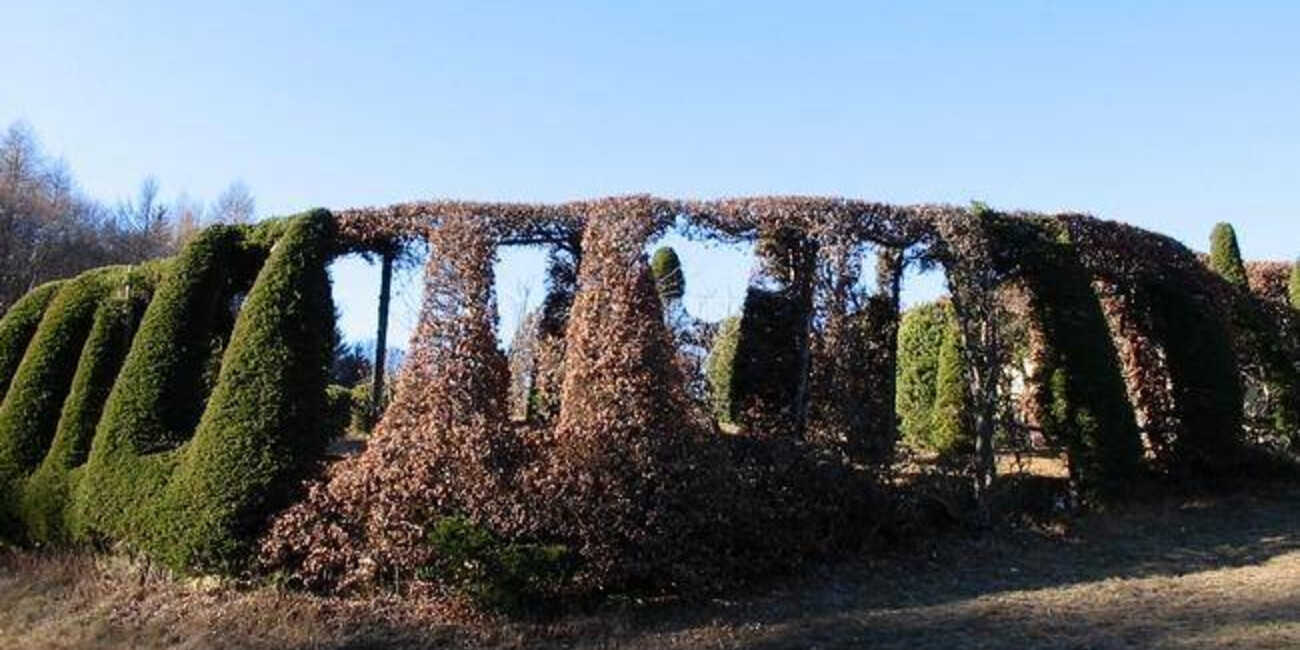 Roccolo del Sauch #3