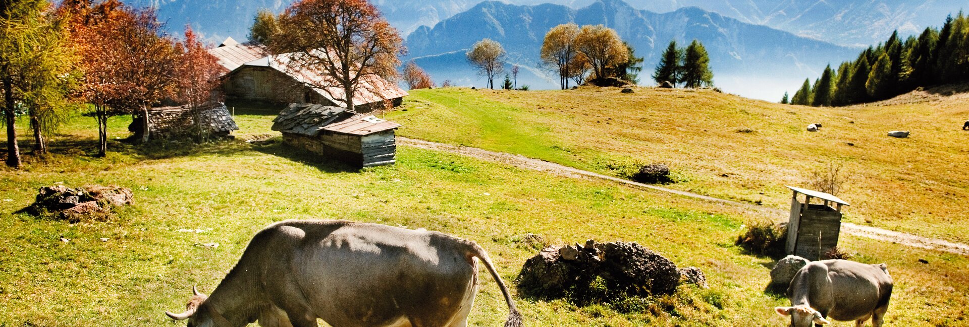 Die Unterstände öffnen sich im Herbst