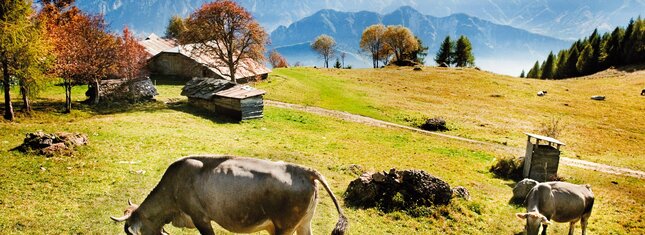 Die Unterstände öffnen sich im Herbst