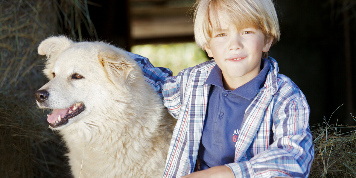 Valle dei Mocheni - Fierozzo - Agritur Klopf Hof - Bambino con cane
