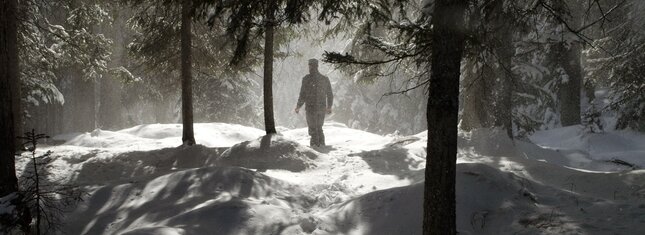 Waldwächter in Paneveggio Wald - real erleben