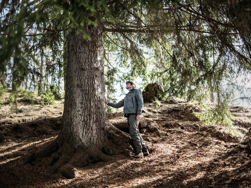 Der Naturpark Paneveggio-Pale di San Martino