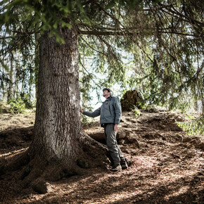 Der Naturpark Paneveggio-Pale di San Martino