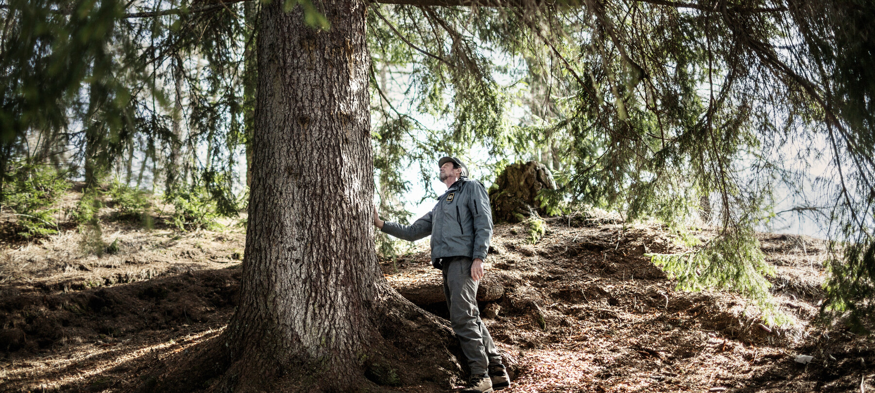 Nachhaltiges Val di Fiemme