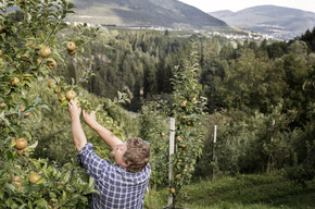Typische Herbstprodukte im Trentino