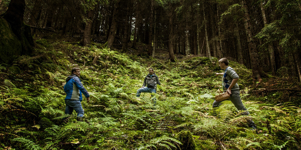 Gilbach gin, imbued with mountain flavours