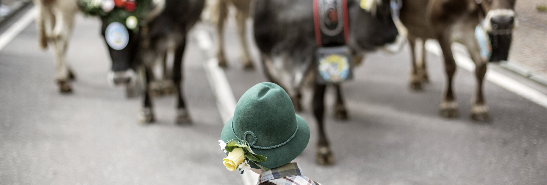 In the mountains, children enjoy themselves and keep in touch with nature - Dolomites - Italian alps