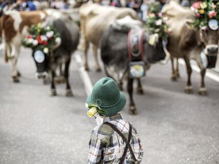 In den Bergen haben die Kinder Spaß und sind in Kontakt mit der Natur - Dolomiten - italienische Alpen