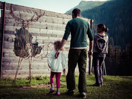 Der Naturpark Paneveggio-Pale di San Martino