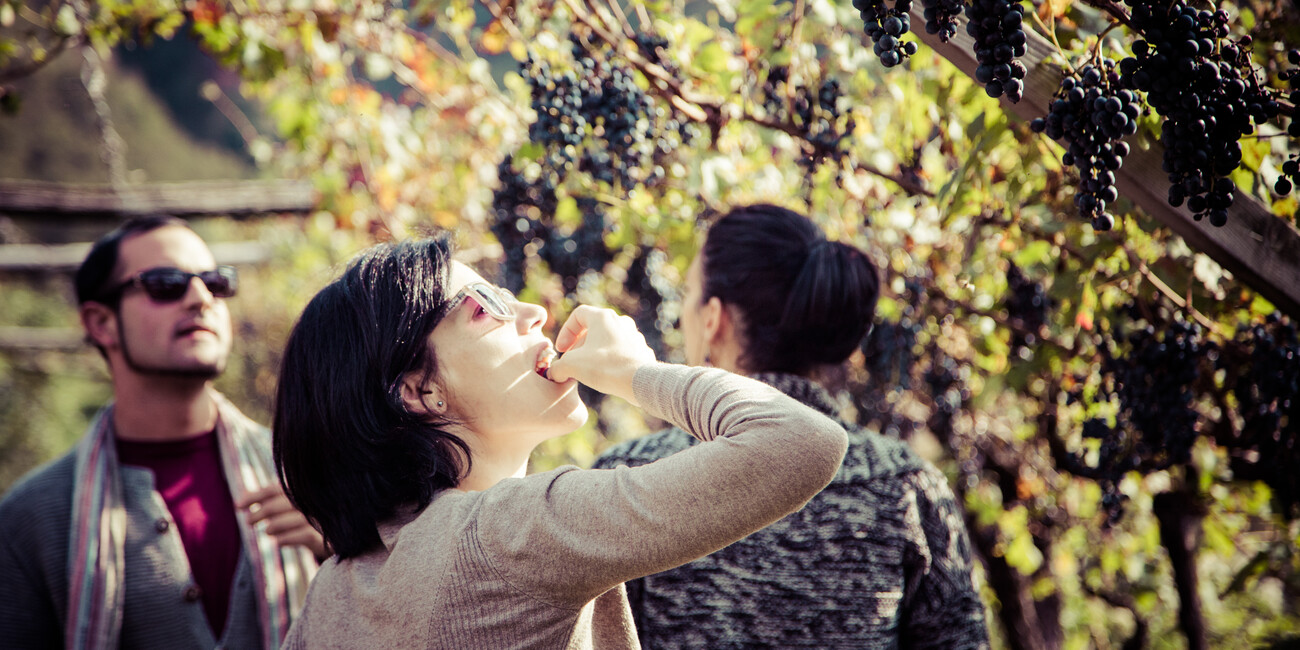 San Michele all'Adige #7