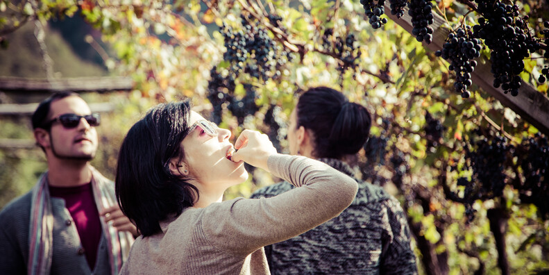 San Michele all'Adige  #7