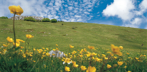 Reservatnetz - Bondone