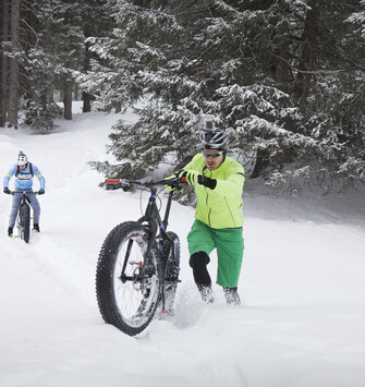 Mountains in winter #3