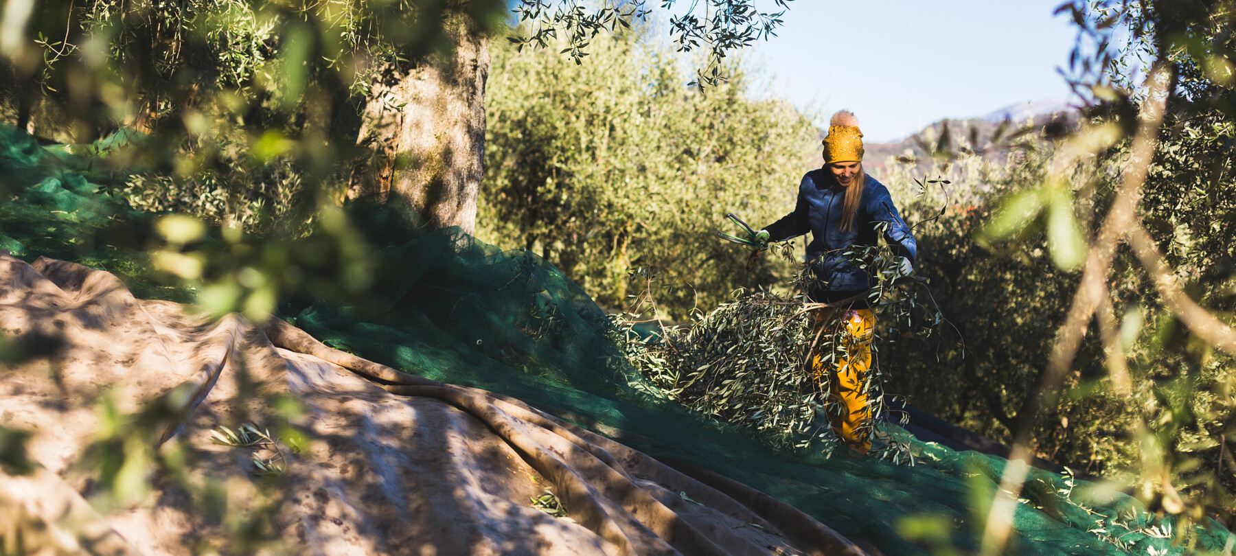 Olivenöl extra vergine aus dem Garda Trentino