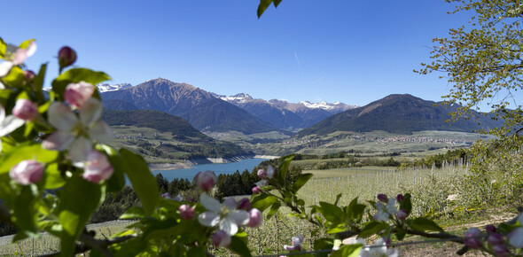 Val di Non - Panorama su Cles