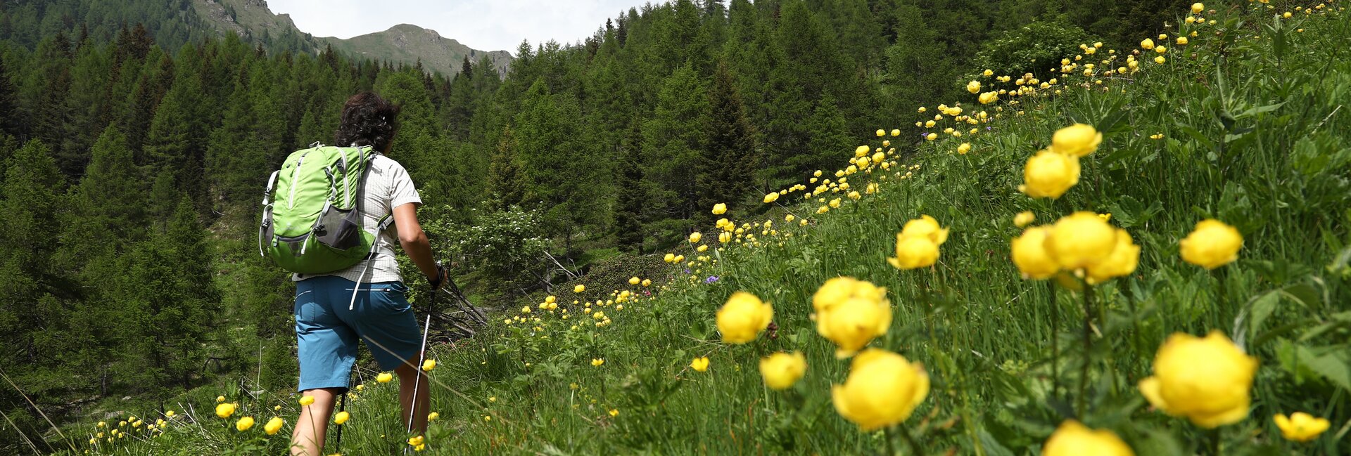 Valle dei Mocheni - Palu del Fersina -  Alta Val Del Laner - Rifugio Sette Selle