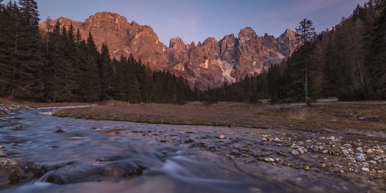 © Alessandro Gruzza