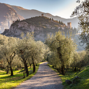 Aktivitäten am Arco