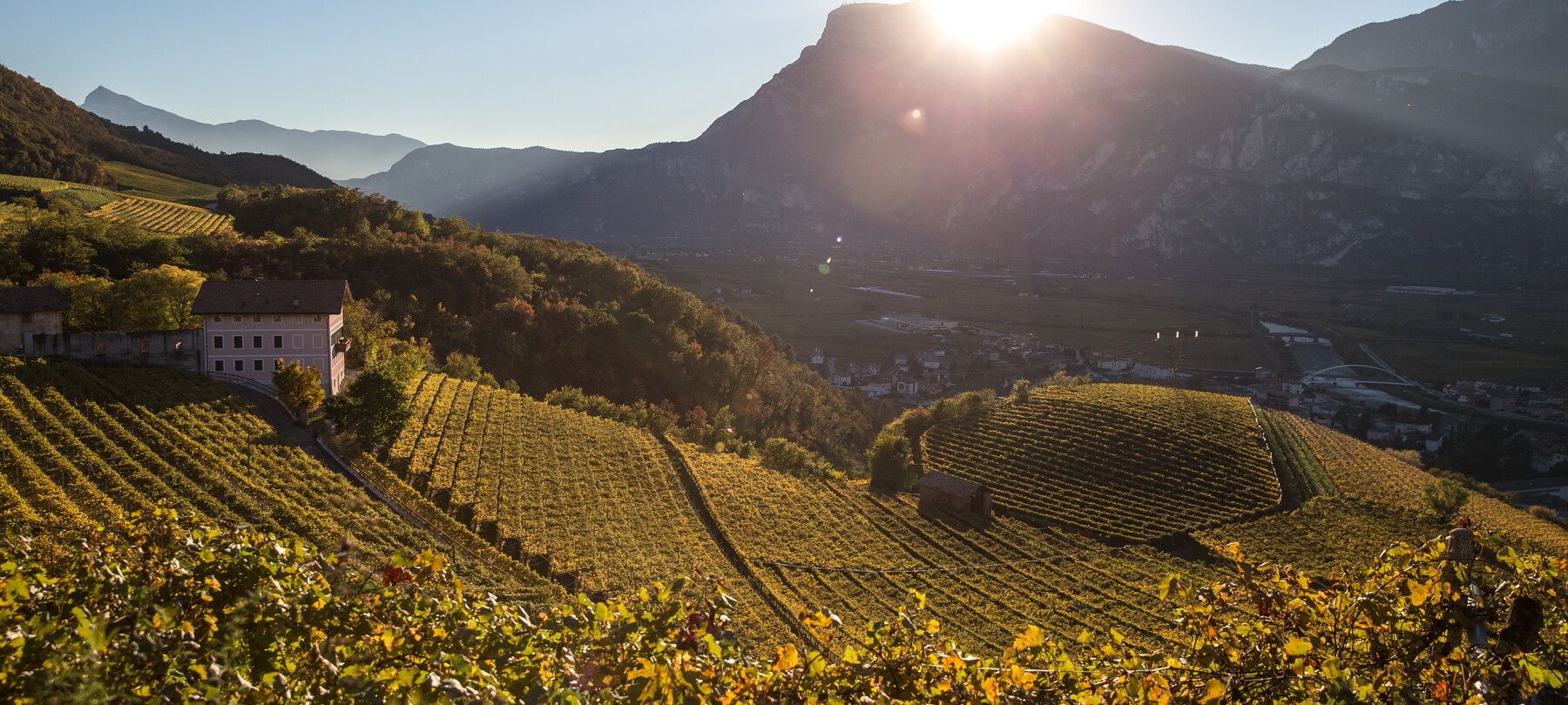 Weintourismus: Den Teroldego auf der Piana Rotaliana entdecken