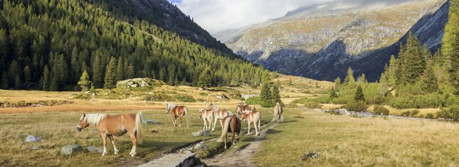 Valli Giudicarie und Valle del Chiese