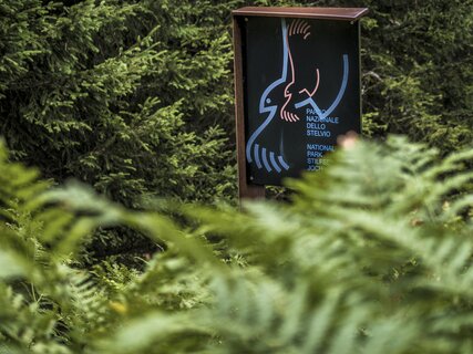 Stelvio National Park