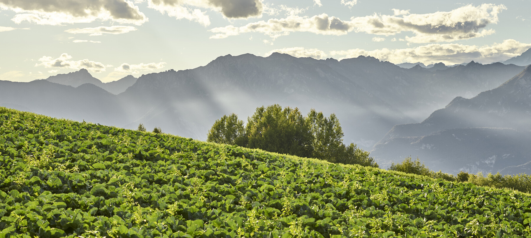 Nachhaltiges Rovereto