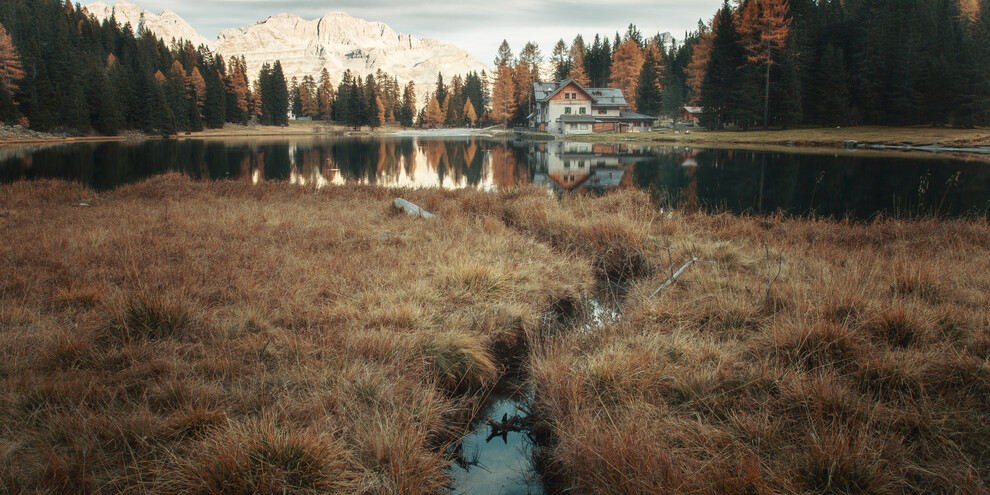 Ein Bukett von Vorschlägen