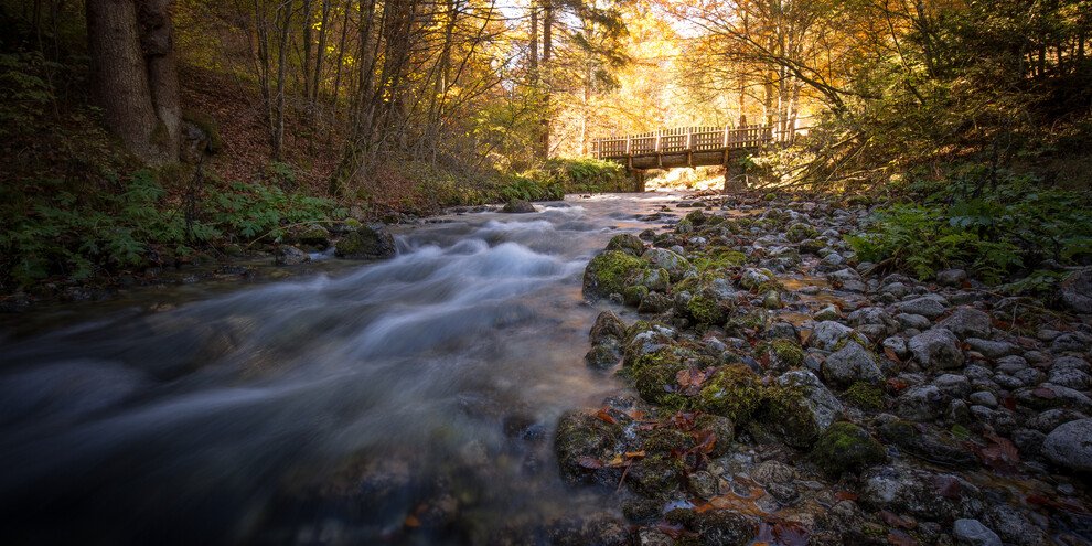 Madonna di Campiglio - Torrente