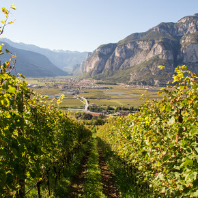 Valle dell'Adige - Piana Rotaliana