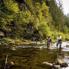 Val di Fiemme - Torrente Travignolo