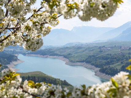 Lake Santa Giustina - The big dam in the valley of canyons