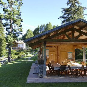 Botanischer Alpengarten, Viote del Monte Bondone
