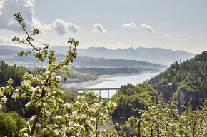 Val di Non - Meleti - Lago si Santa Giustina