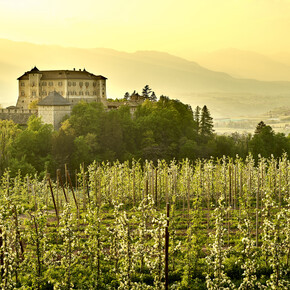 Val di Non - Meleti - Castel Thun