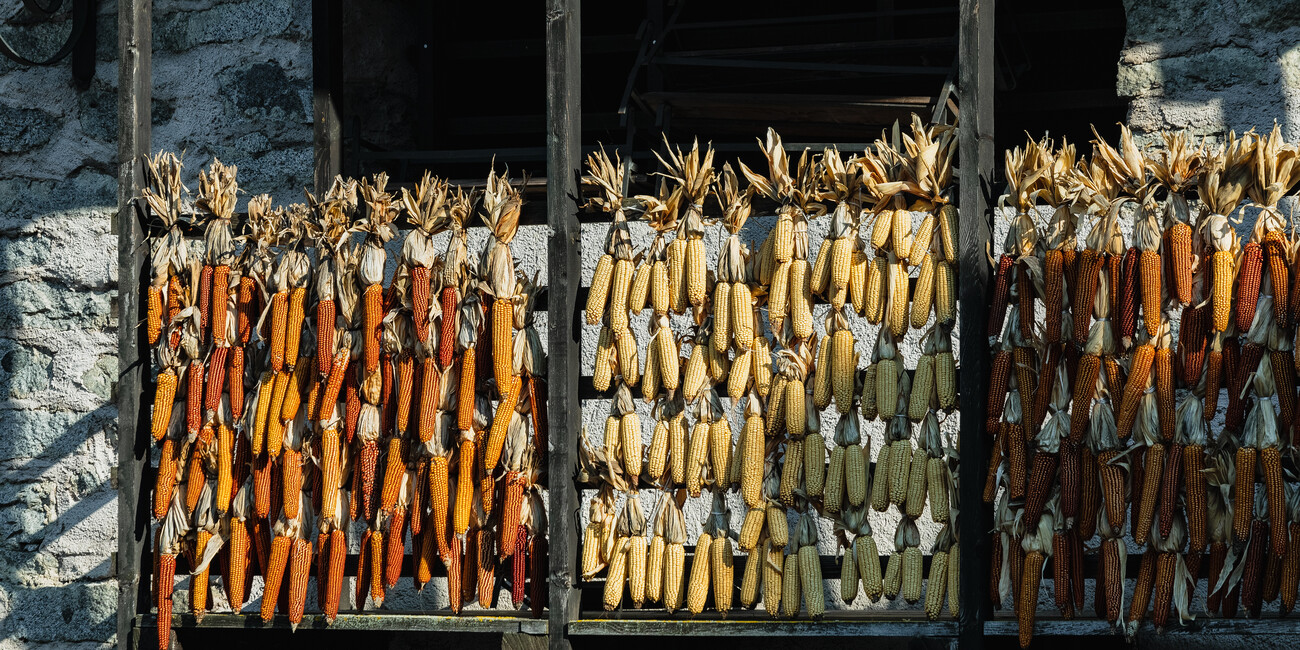 Bleggio Superiore #7